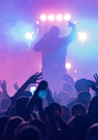 concert, silhouettes of happy people raising up hands, Music sho